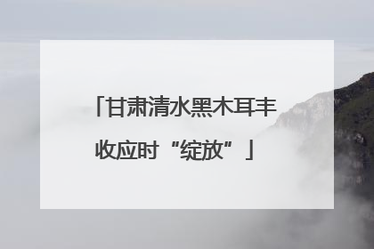 甘肃清水黑木耳丰收应时“绽放”