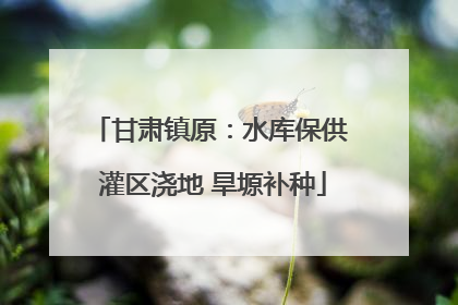 甘肃镇原：水库保供 灌区浇地 旱塬补种