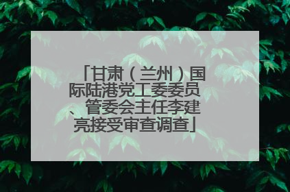 甘肃（兰州）国际陆港党工委委员、管委会主任李建亮接受审查调查