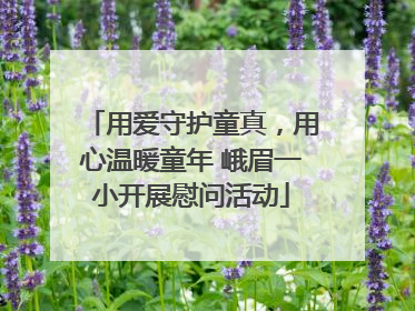 用爱守护童真，用心温暖童年 峨眉一小开展慰问活动