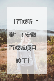 百戏听“巢”！安徽百戏城项目竣工