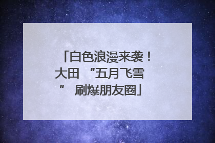 白色浪漫来袭！大田 “五月飞雪” 刷爆朋友圈