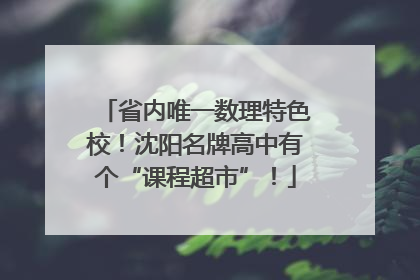 省内唯一数理特色校！沈阳名牌高中有个“课程超市”！