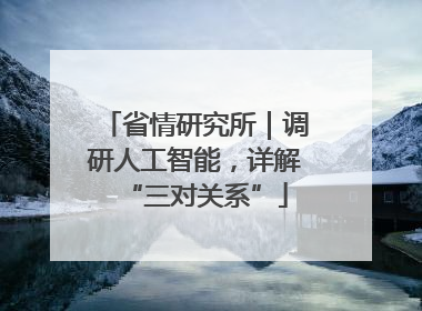 省情研究所｜调研人工智能，详解“三对关系”