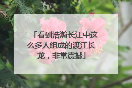 看到浩瀚长江中这么多人组成的渡江长龙，非常震撼