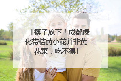 筷子放下！成都绿化带桔黄小花并非黄花菜，吃不得