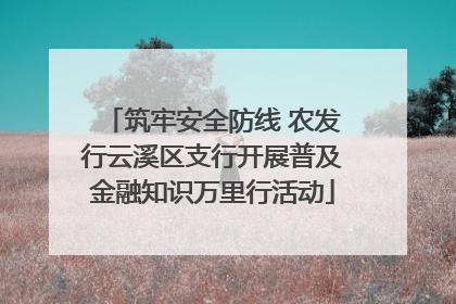 筑牢安全防线 农发行云溪区支行开展普及金融知识万里行活动