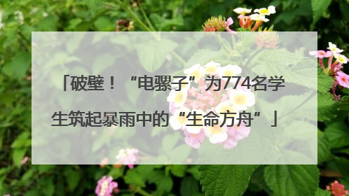 破壁！“电骡子”为774名学生筑起暴雨中的“生命方舟”
