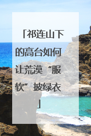 祁连山下的高台如何让荒漠“服软”披绿衣