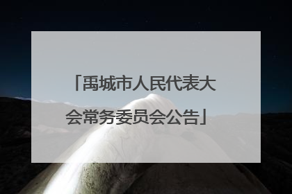 禹城市人民代表大会常务委员会公告