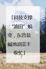 科技支撑“油田”蜕变，东营盐碱地油菜丰收忙