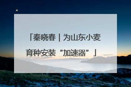秦晓春｜为山东小麦育种安装“加速器”