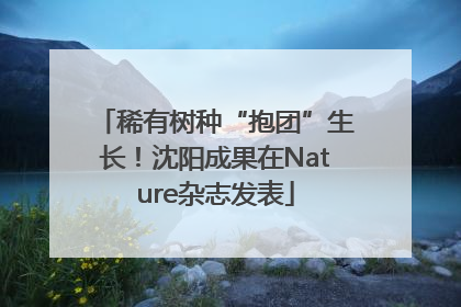 稀有树种“抱团”生长！沈阳成果在Nature杂志发表