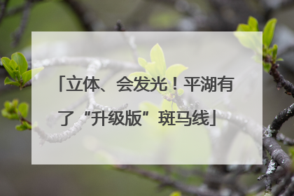 立体、会发光！平湖有了“升级版”斑马线