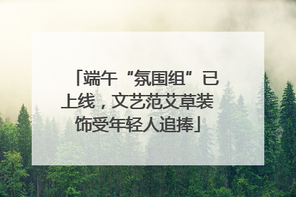端午“氛围组”已上线，文艺范艾草装饰受年轻人追捧
