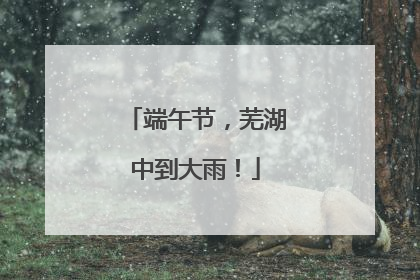 端午节，芜湖中到大雨！
