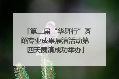 第二届“华舞行”舞蹈专业成果展演活动第四天展演成功举办
