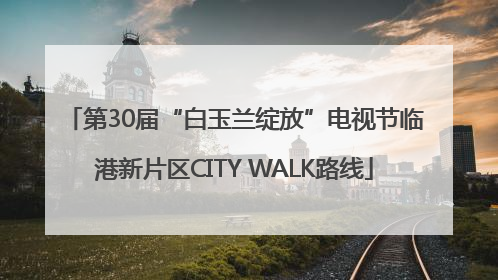 第30届“白玉兰绽放”电视节临港新片区CITY WALK路线