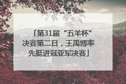第31届“五羊杯”决赛第二日，王禹博率先挺进冠亚军决赛