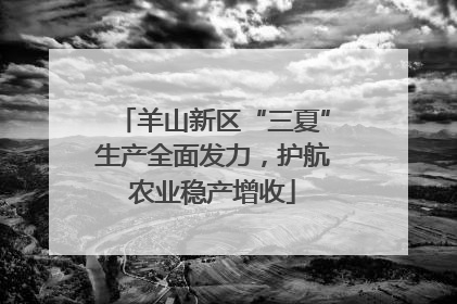 羊山新区“三夏”生产全面发力，护航农业稳产增收