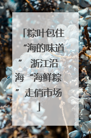 粽叶包住“海的味道” 浙江沿海“海鲜粽”走俏市场