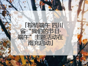 粽情端午 四川省“我们的节日·端午”主题活动在南充启动