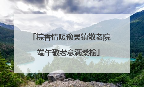 粽香情暖豫灵镇敬老院 端午敬老意满桑榆