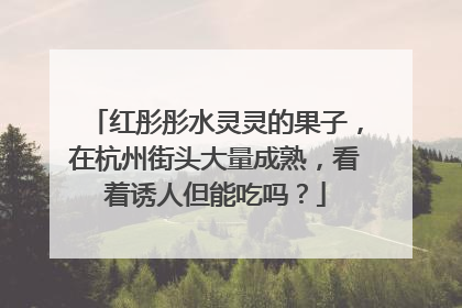 红彤彤水灵灵的果子，在杭州街头大量成熟，看着诱人但能吃吗？