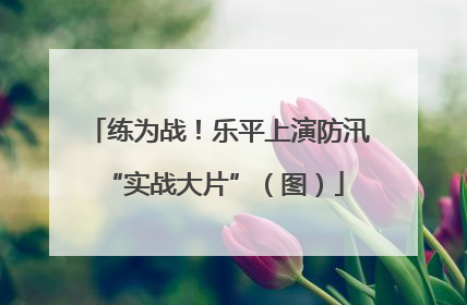 练为战！乐平上演防汛 “实战大片”（图）