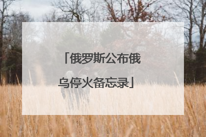 俄罗斯公布俄乌停火备忘录