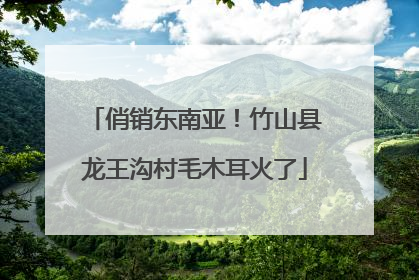 俏销东南亚！竹山县龙王沟村毛木耳火了