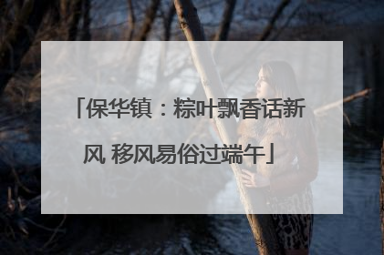 保华镇：粽叶飘香话新风 移风易俗过端午