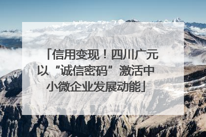 信用变现！四川广元以“诚信密码”激活中小微企业发展动能