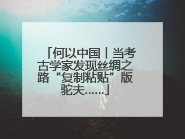 何以中国丨当考古学家发现丝绸之路“复制粘贴”版驼夫……