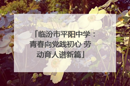临汾市平阳中学：青春向党践初心 劳动育人谱新篇