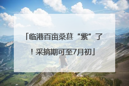 临港百亩桑葚“紫”了！采摘期可至7月初