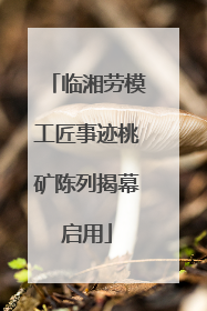 临湘劳模工匠事迹桃矿陈列揭幕启用