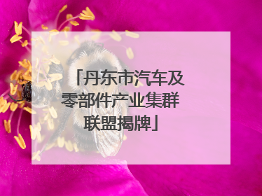 丹东市汽车及零部件产业集群联盟揭牌