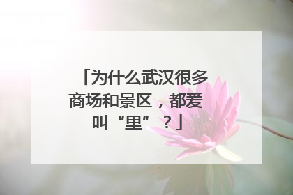 为什么武汉很多商场和景区，都爱叫“里”？