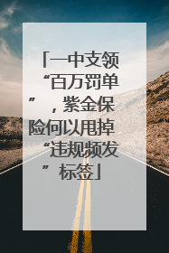 一中支领“百万罚单”，紫金保险何以甩掉“违规频发”标签