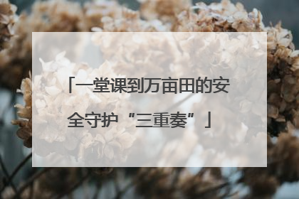 一堂课到万亩田的安全守护“三重奏”