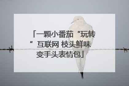 一颗小番茄“玩转”互联网 枝头鲜味变手头表情包