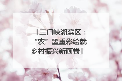 三门峡湖滨区：“农”墨重彩绘就乡村振兴新画卷