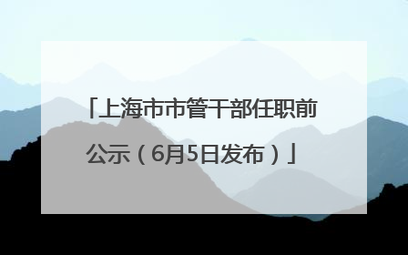 上海市市管干部任职前公示（6月5日发布）