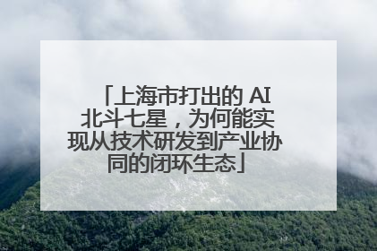 上海市打出的 AI 北斗七星，为何能实现从技术研发到产业协同的闭环生态