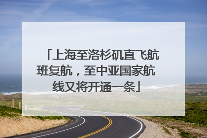 上海至洛杉矶直飞航班复航，至中亚国家航线又将开通一条