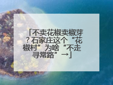 不卖花椒卖椒芽？石家庄这个“花椒村”为啥“不走寻常路”→