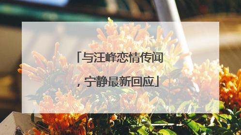 与汪峰恋情传闻，宁静最新回应