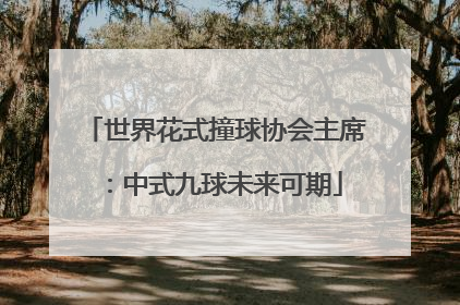 世界花式撞球协会主席：中式九球未来可期
