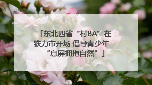 东北四省“村BA”在铁力市开场 倡导青少年“息屏拥抱自然”